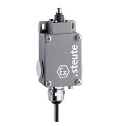 Ex Position switch ExM 61 W 3m IP65 (1CO) II 2G Ex de IIC T6